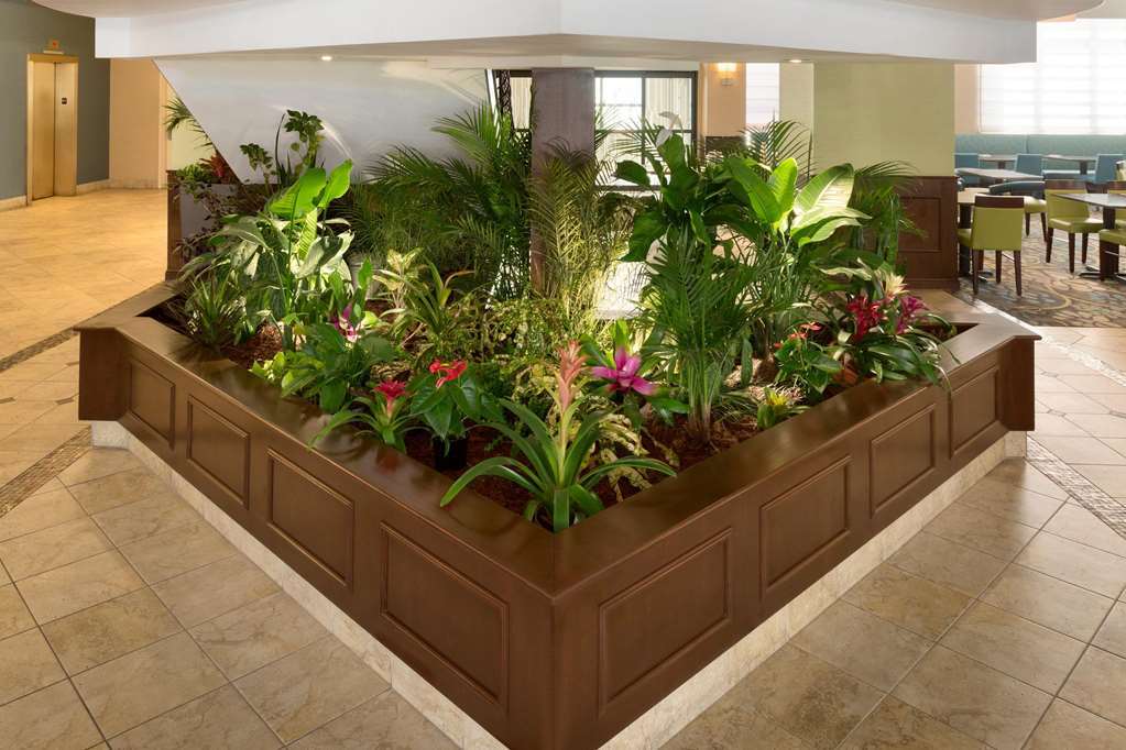 Hilton Garden Inn וורצ'סטר מראה פנימי תמונה